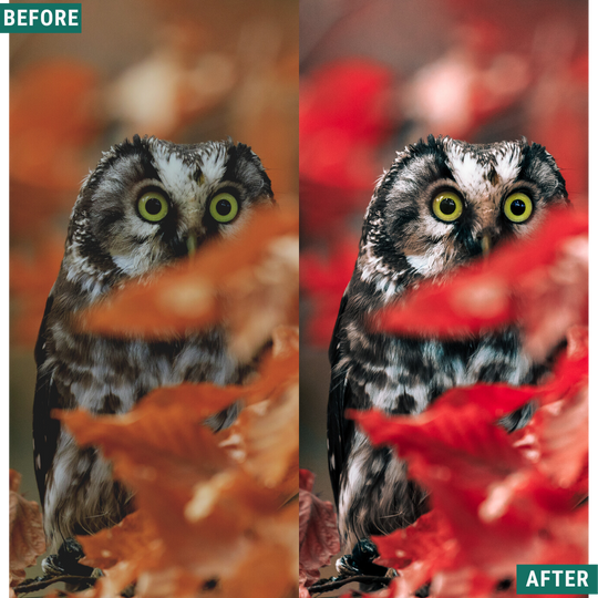 Red Tones LIMITED Capture One & LUT Presets Pack