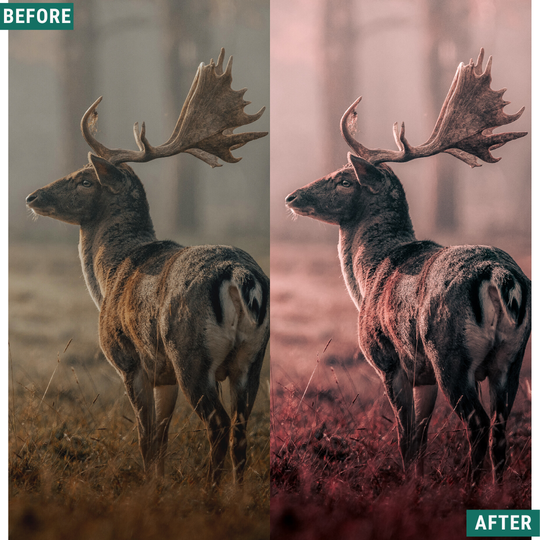 Red Tones LIMITED Lightroom Presets Pack