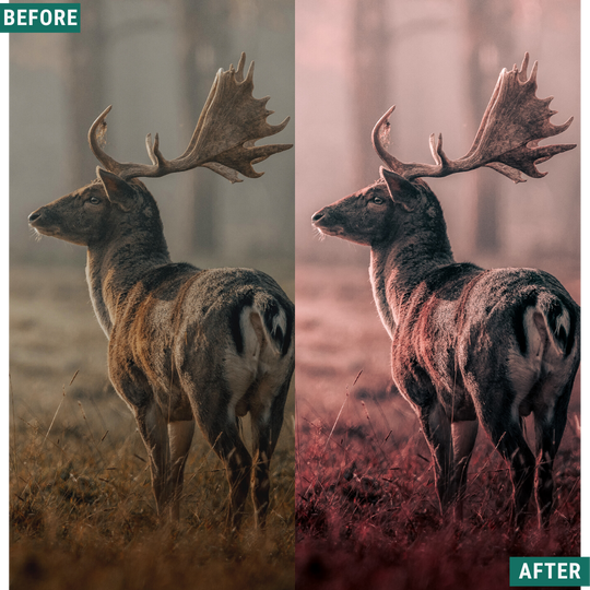 Red Tones LIMITED Lightroom Presets Pack