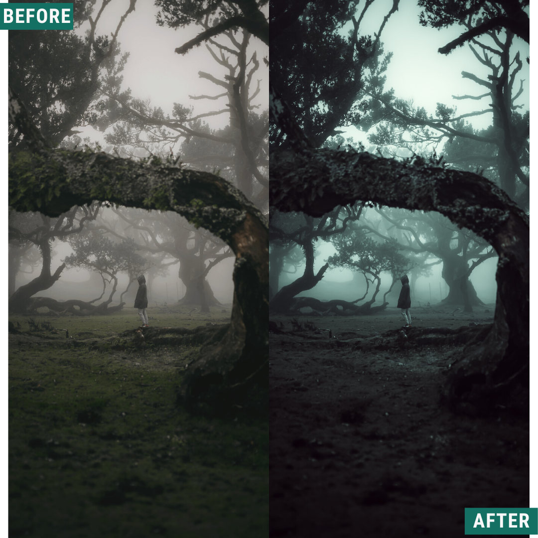 Spooky Green Lightroom Presets Pack