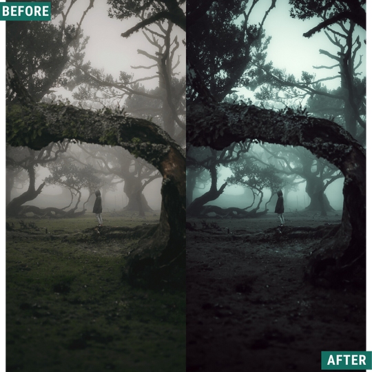 Spooky Green LIMITIERTES Lightroom-Presets-Paket