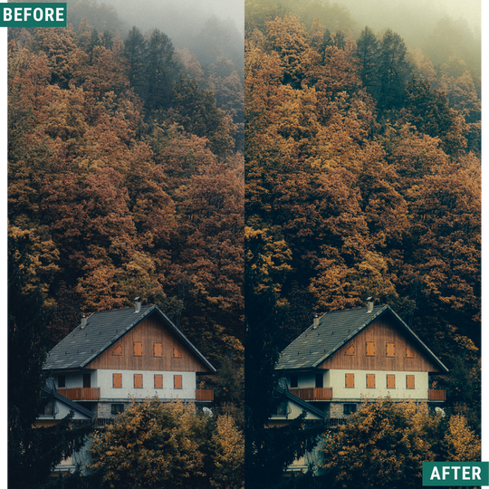 Rustic Green Capture One & LUT Presets Pack