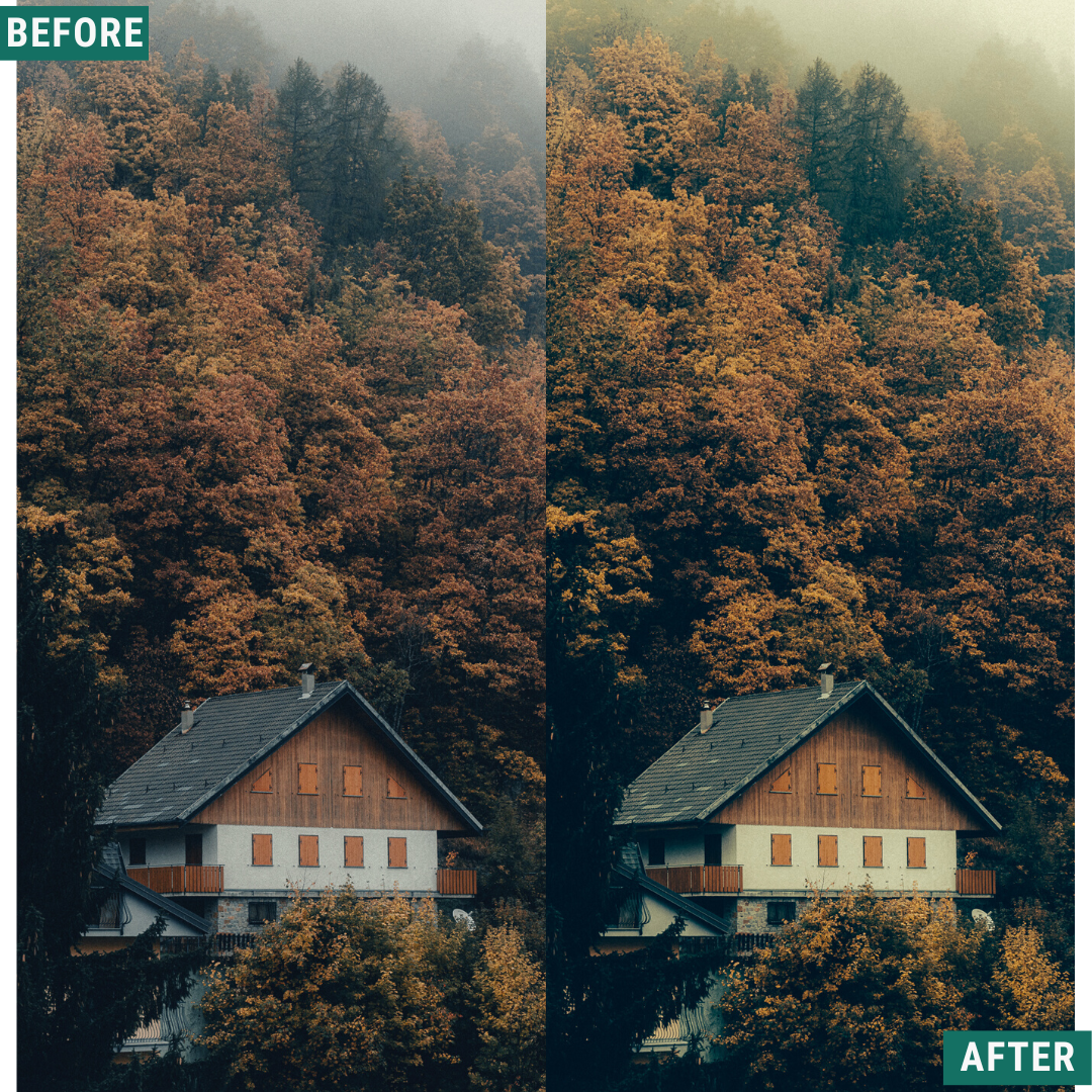 Rustic Green LIMITED Lightroom Presets Pack