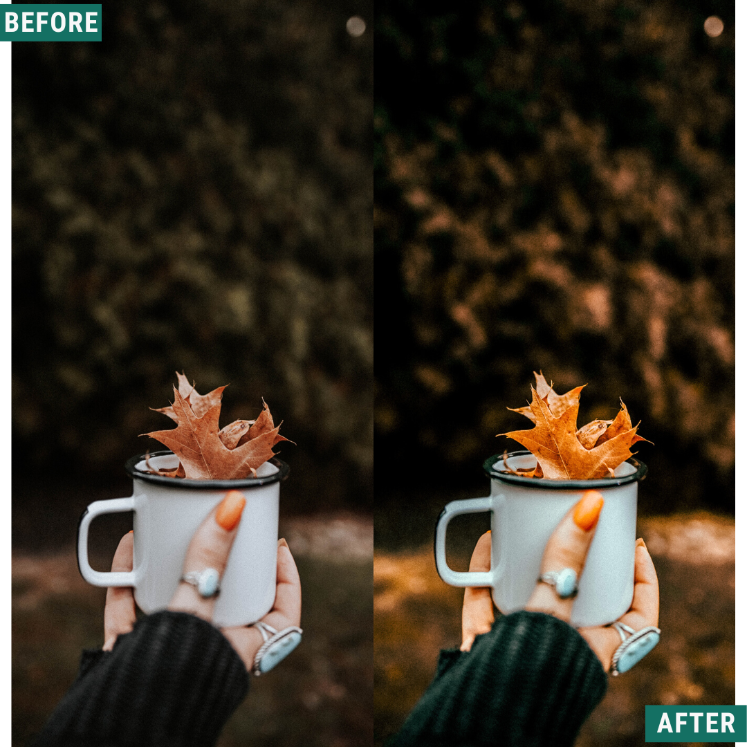 Warm Fall LIMITED Lightroom Presets Pack