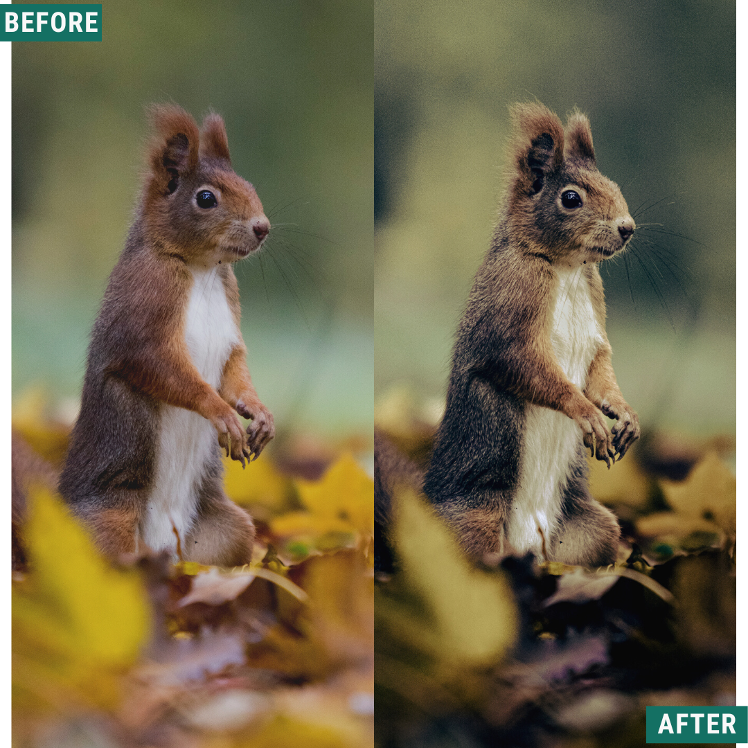 Rustic Green Capture One & LUT Presets Pack