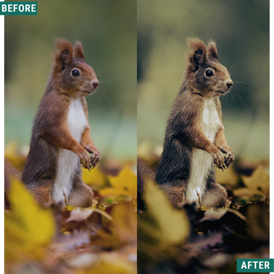 Rustic Green Capture One & LUT Presets Pack