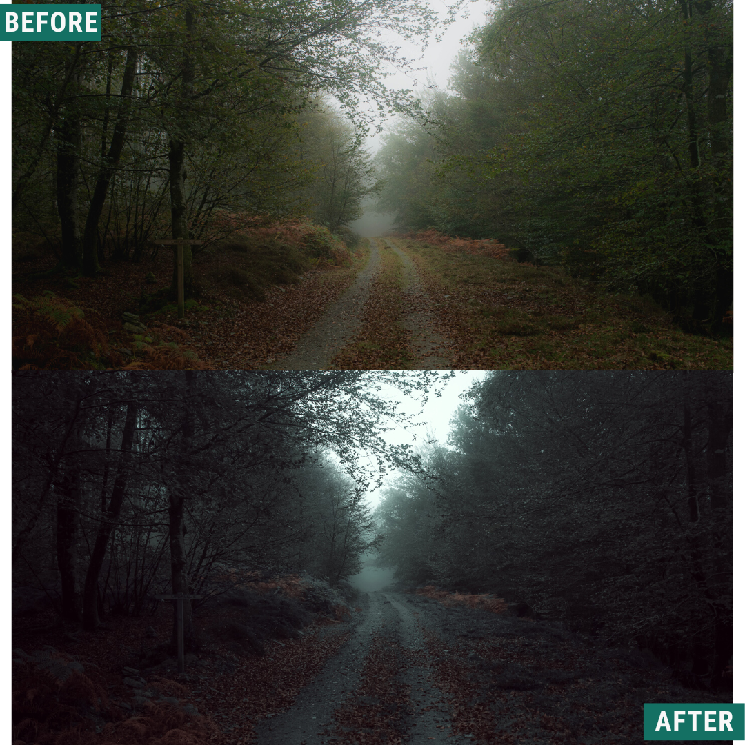 Spooky Green LIMITIERTES Lightroom-Presets-Paket