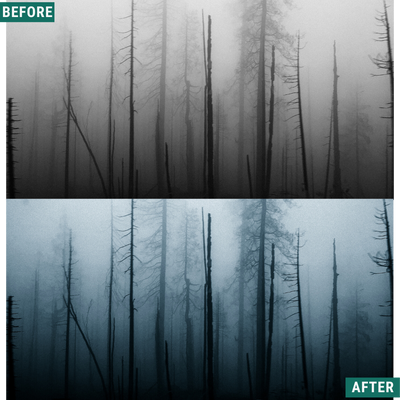 Spooky Chill LIMITED Lightroom Presets Pack
