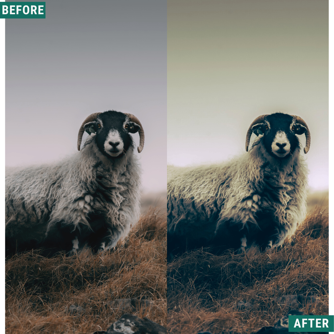 Rustic Green Capture One & LUT Presets Pack