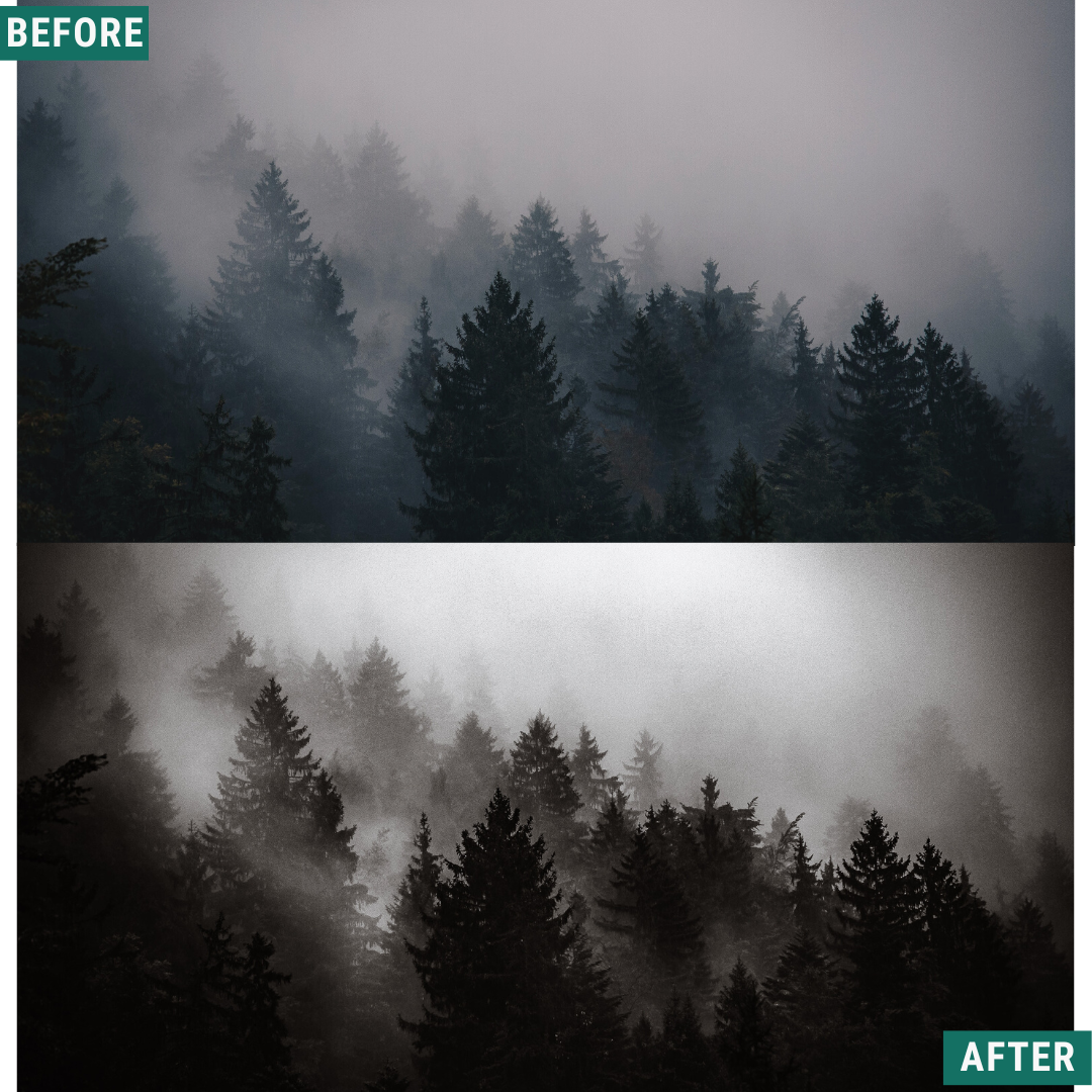 Spooky Mono LIMITED Lightroom Presets Pack