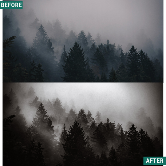 Spooky Mono LIMITED Lightroom Presets Pack