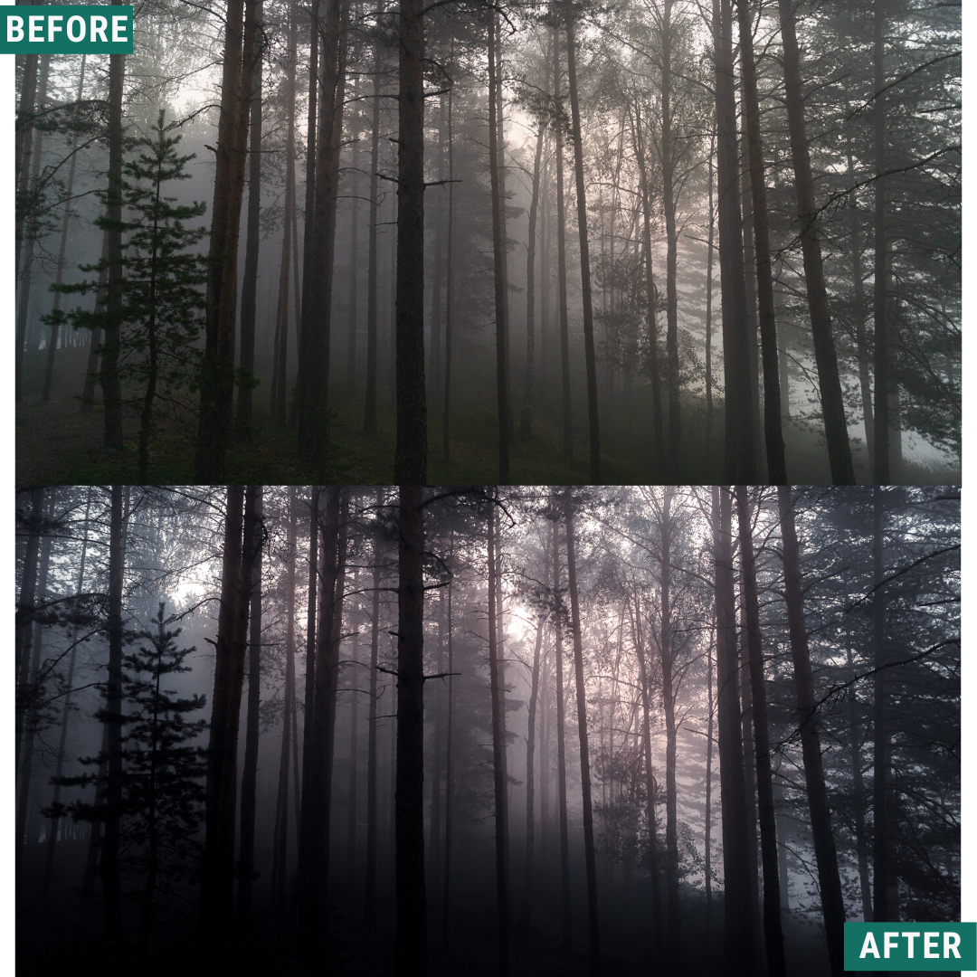 Spooky Fall LIMITED Lightroom Presets Pack