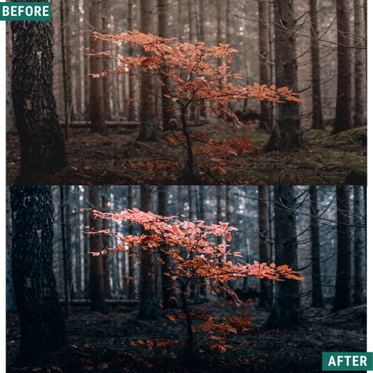 Spooky Chill LIMITED Lightroom Presets Pack