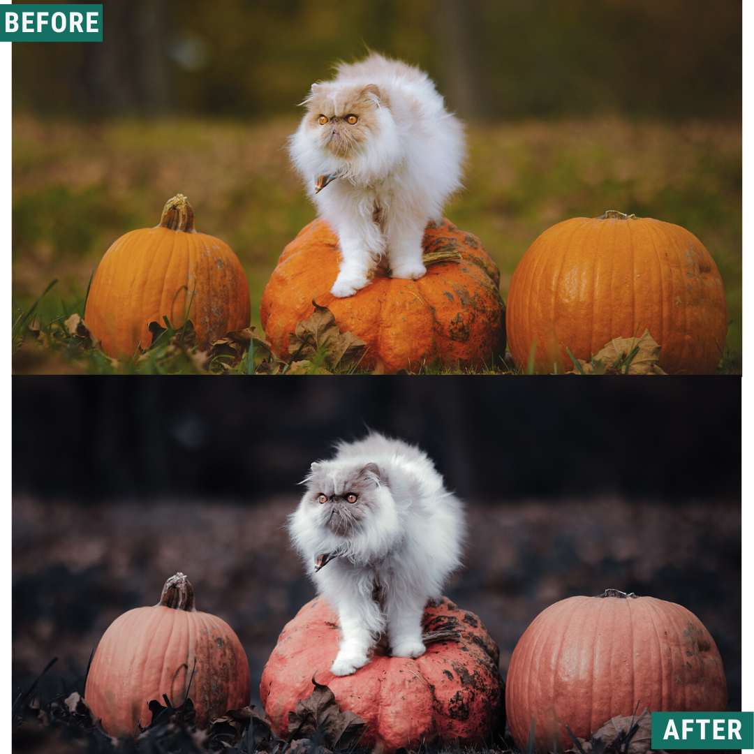 Spooky Fall LIMITED Lightroom Presets Pack