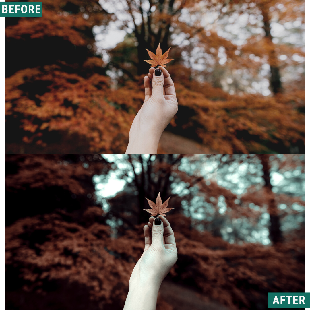 Spooky Green LIMITIERTES Lightroom-Presets-Paket