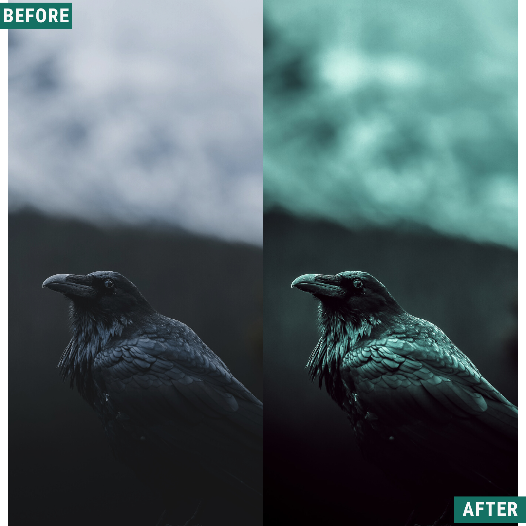 Spooky Green LIMITIERTES Lightroom-Presets-Paket