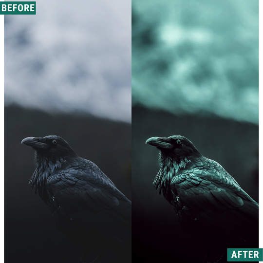 Spooky Green Lightroom Presets Pack