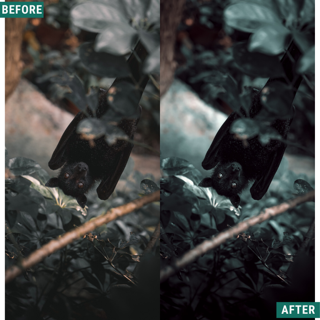 Spooky Green Lightroom Presets Pack