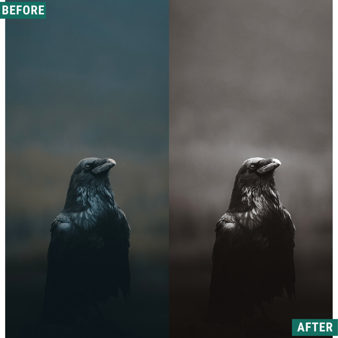 Spooky Mono LIMITED Lightroom Presets Pack