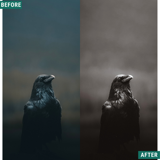 Spooky Mono LIMITED Lightroom Presets Pack