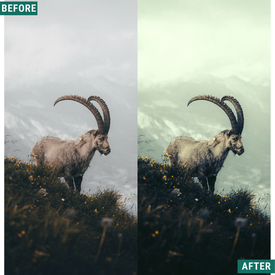 Deep Mood Lightroom-Presets-Paket