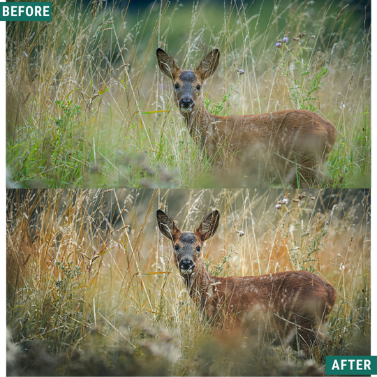 Gold Valley LIMITED Lightroom Presets Pack
