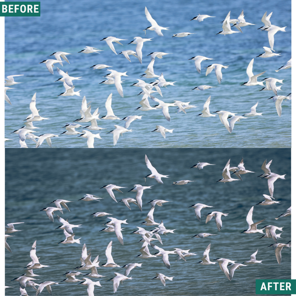Sky Blue LIMITED Lightroom Presets Pack