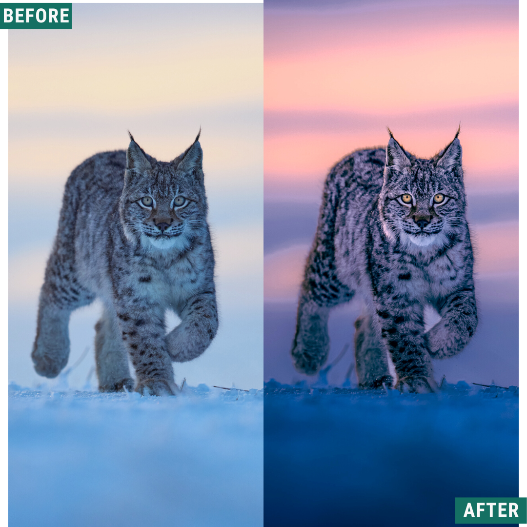 Blue Winter LIMITED Lightroom Presets Pack