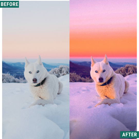 Winter Dusk LIMITIERTES Lightroom-Presets-Paket