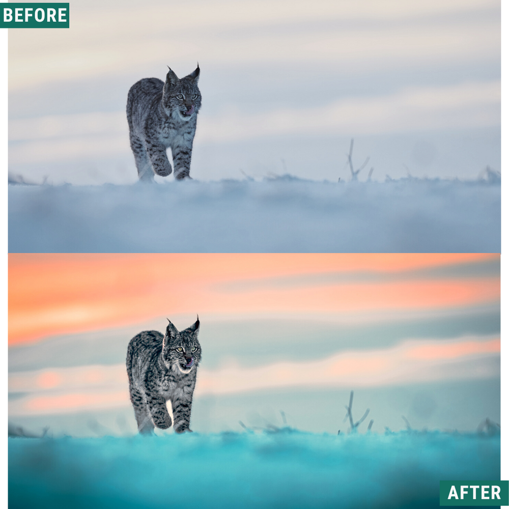 Teal Winter Lightroom Presets Pack