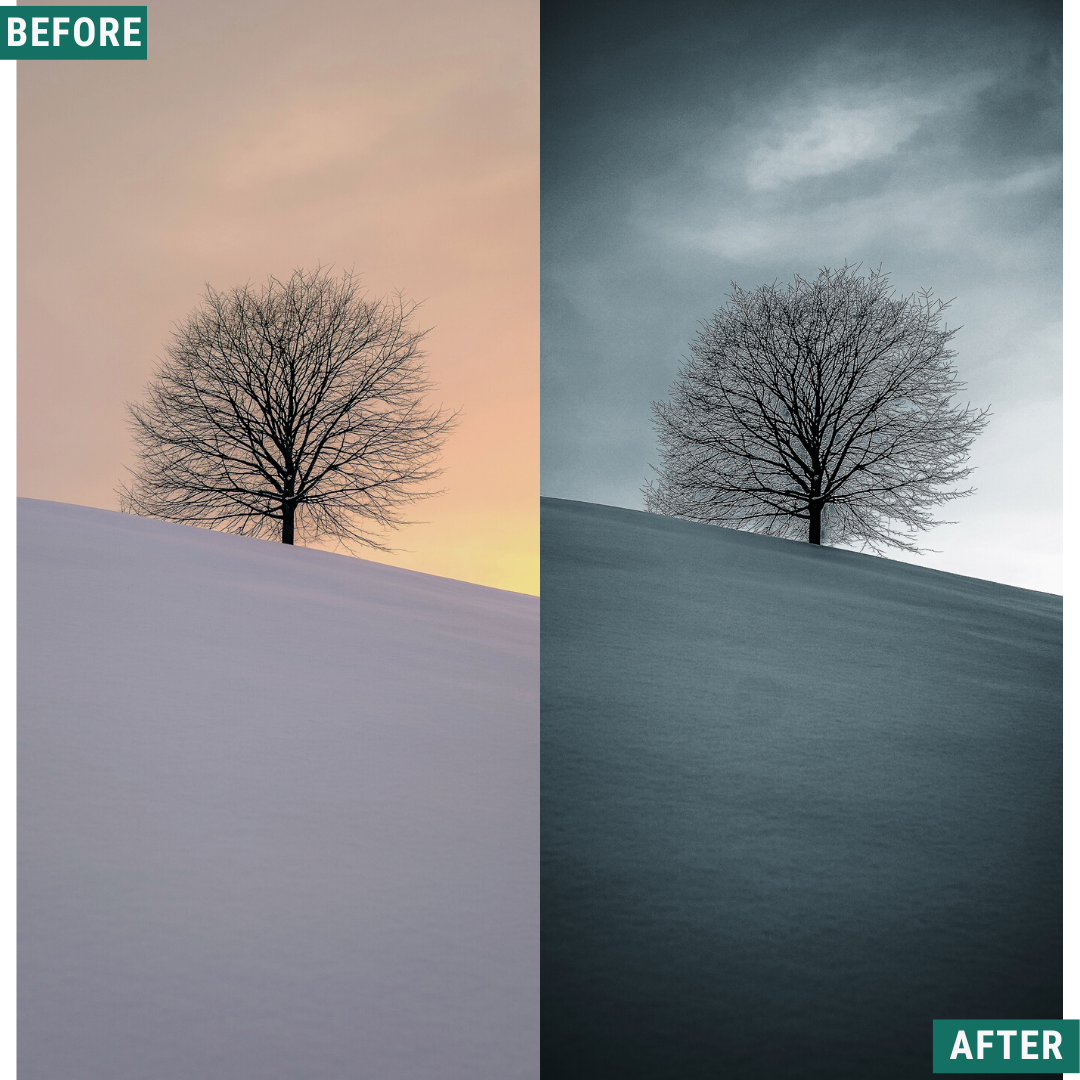 Mono Frost LIMITED Lightroom Presets Pack