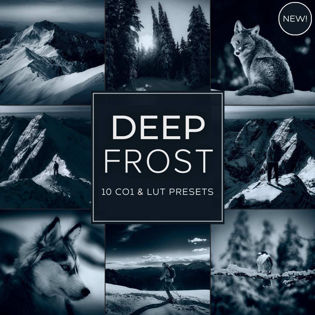 Deep Frost LIMITED Capture One & LUT Presets Pack