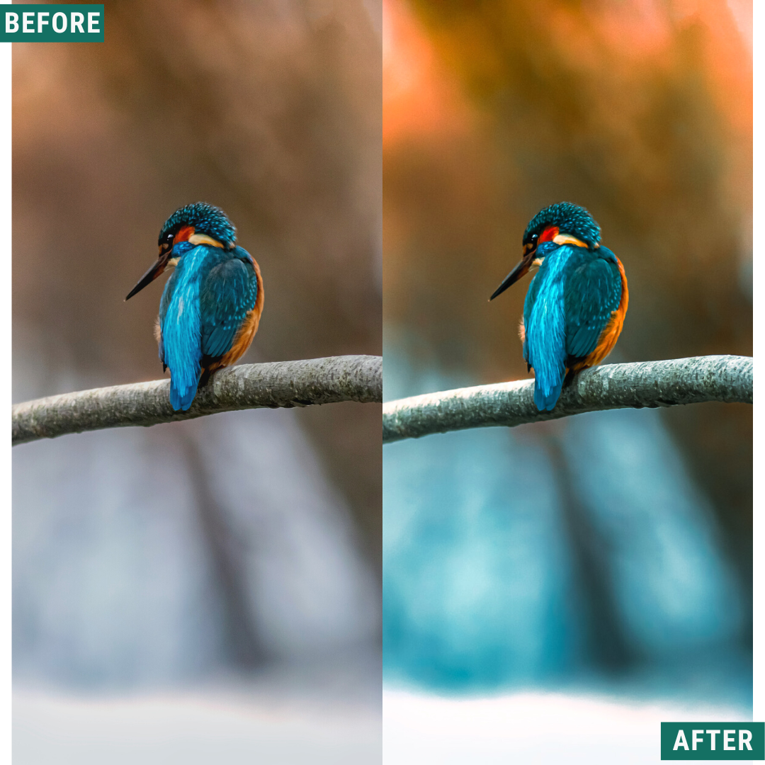 Teal Winter Lightroom Presets Pack