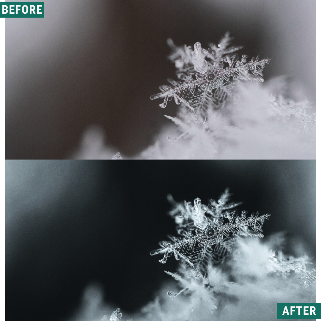 Mono Frost LIMITED Lightroom Presets Pack