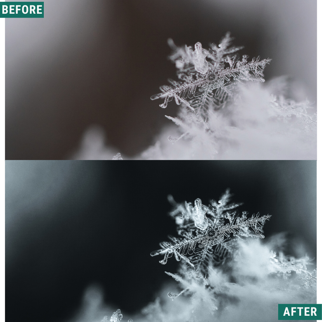 Mono Frost LIMITED Capture One & LUT Presets Pack