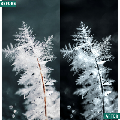 Mono Frost LIMITED Capture One & LUT Presets Pack