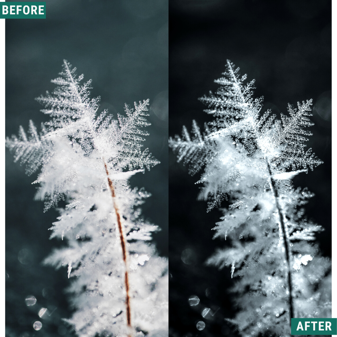 Mono Frost LIMITED Lightroom Presets Pack