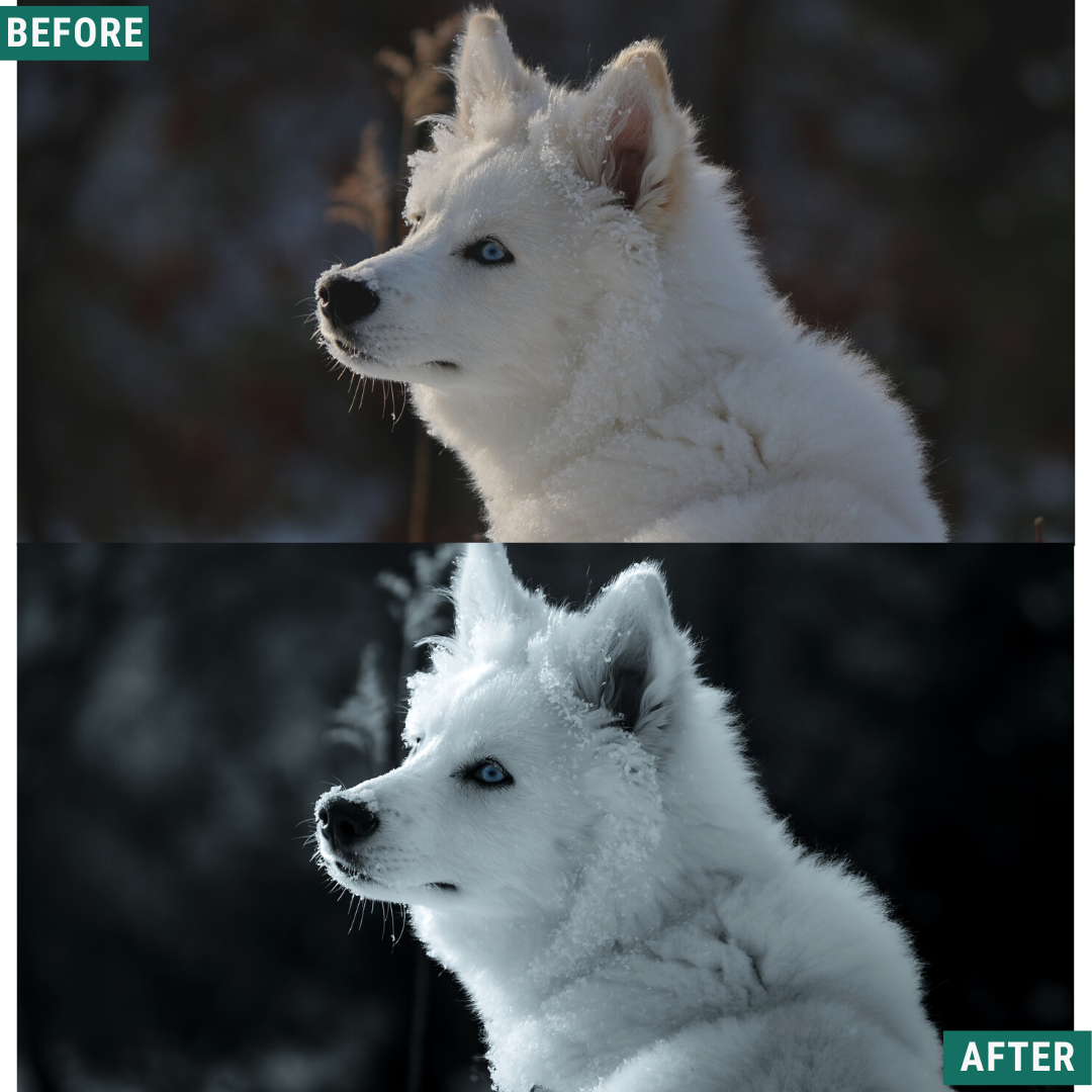 Mono Frost LIMITIERTES Lightroom-Presets-Paket