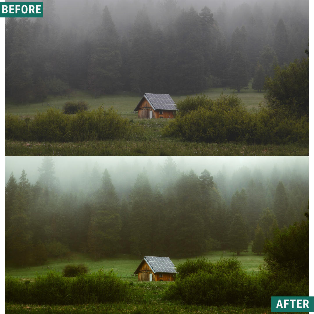 Dark Green Capture One & LUT Presets Pack