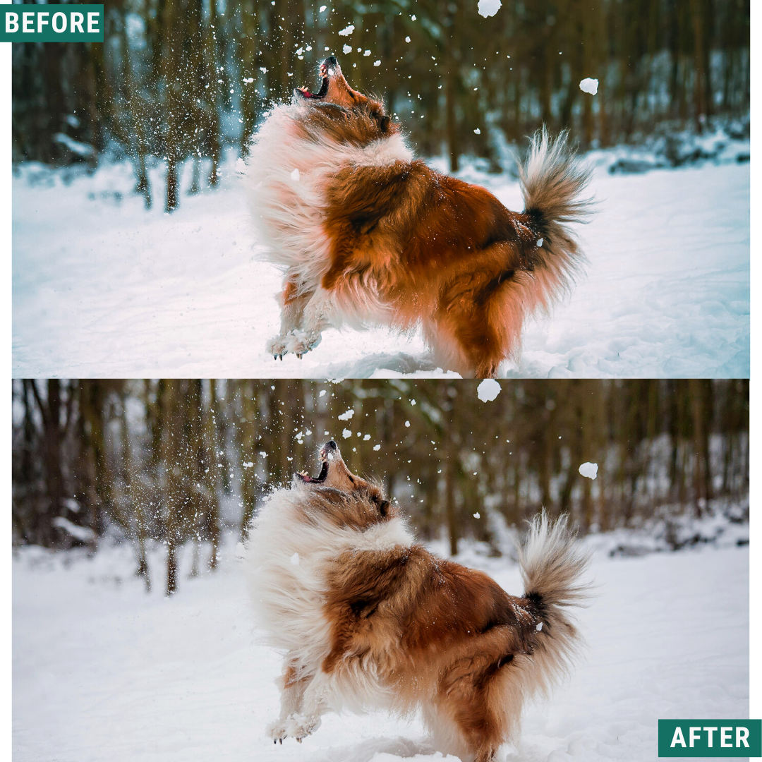 Teal Winter Lightroom Presets Pack