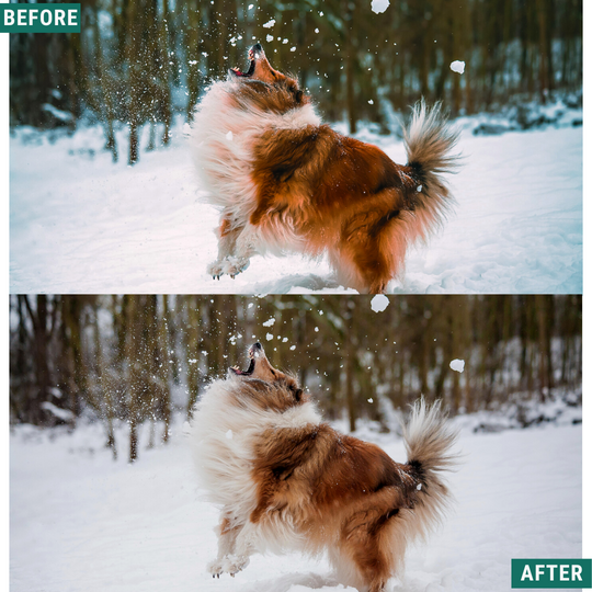 Teal Winter Lightroom-Presets-Paket