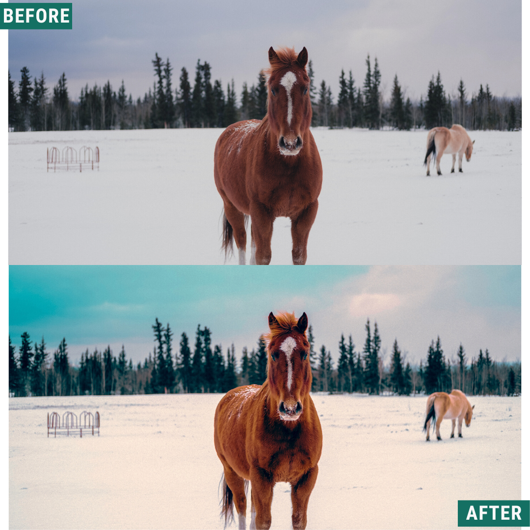 Teal Winter Lightroom-Presets-Paket