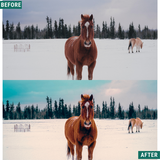 Teal Winter Lightroom Presets Pack