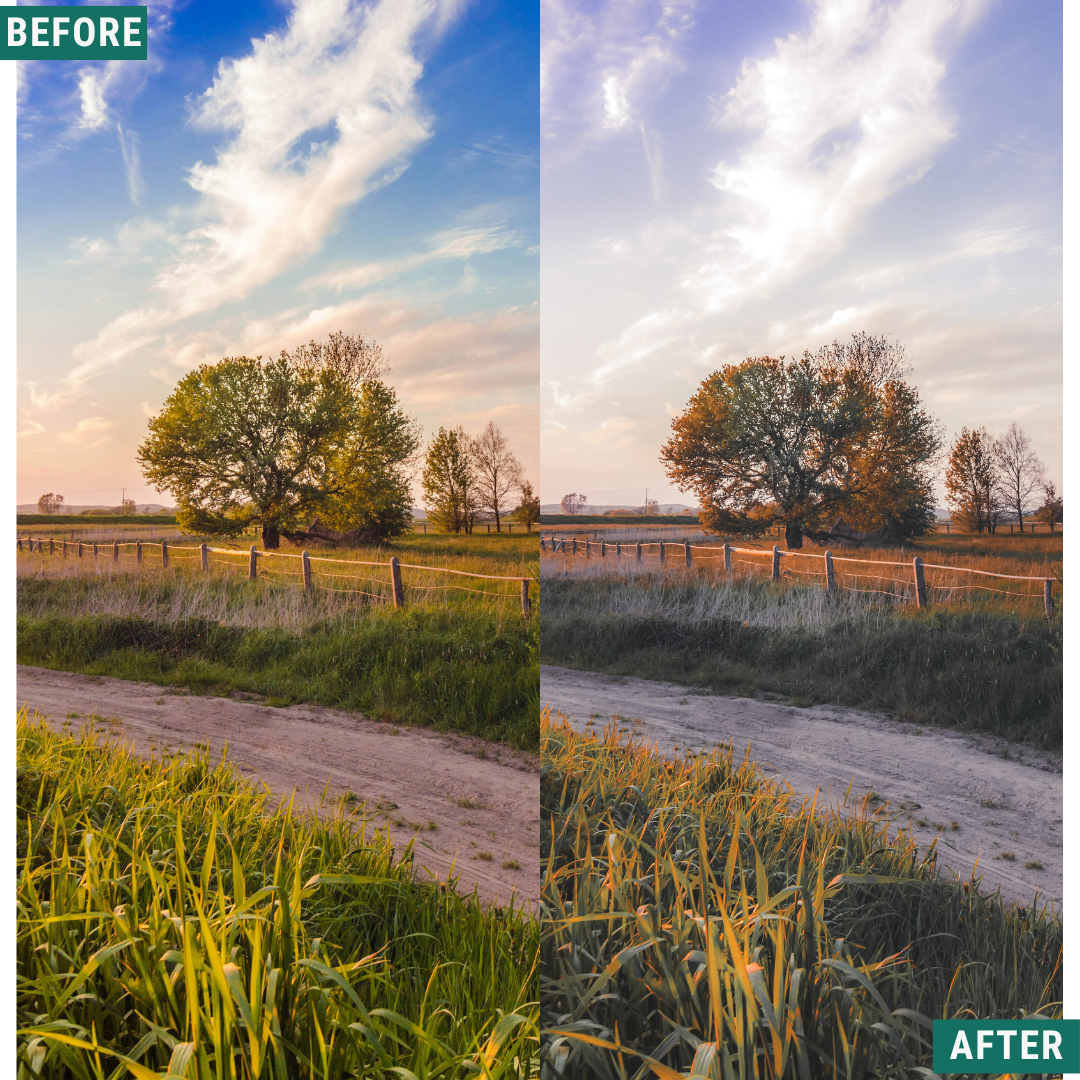 Gold Valley LIMITED Lightroom Presets Pack