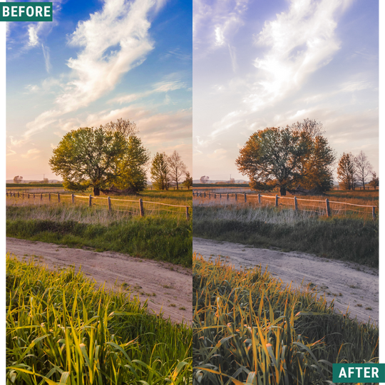 Gold Valley LIMITED Lightroom Presets Pack
