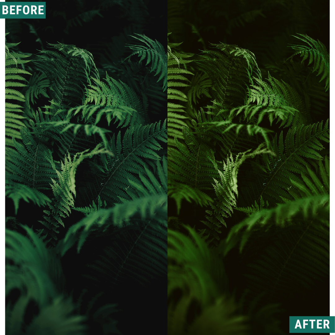 Dark Green LIMITIERTES Lightroom-Presets-Paket