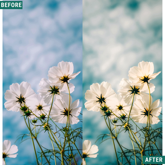 Spring Glow LIMITED Lightroom Presets Pack