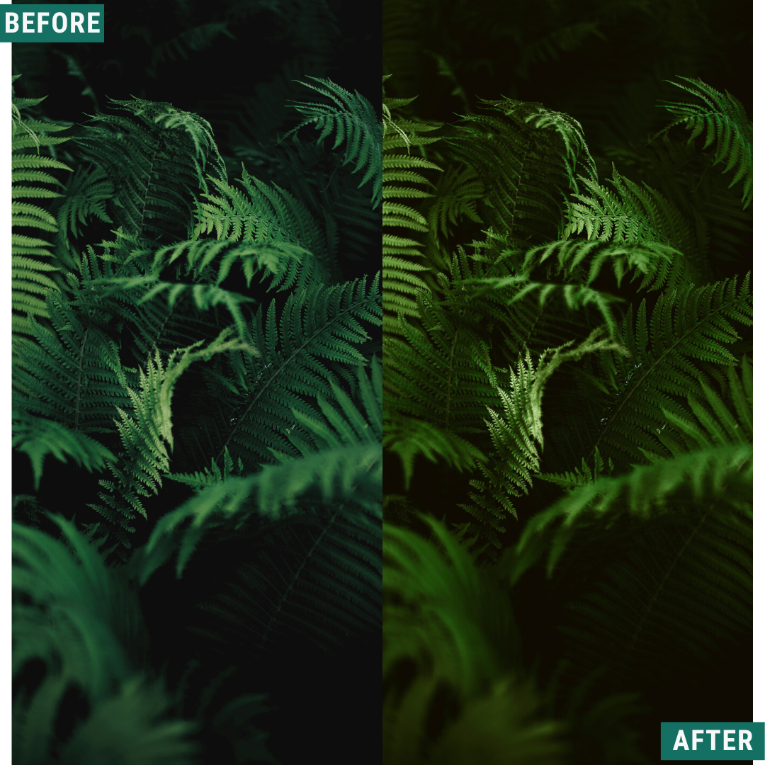 Dark Green LIMITED Capture One & LUT Presets Pack