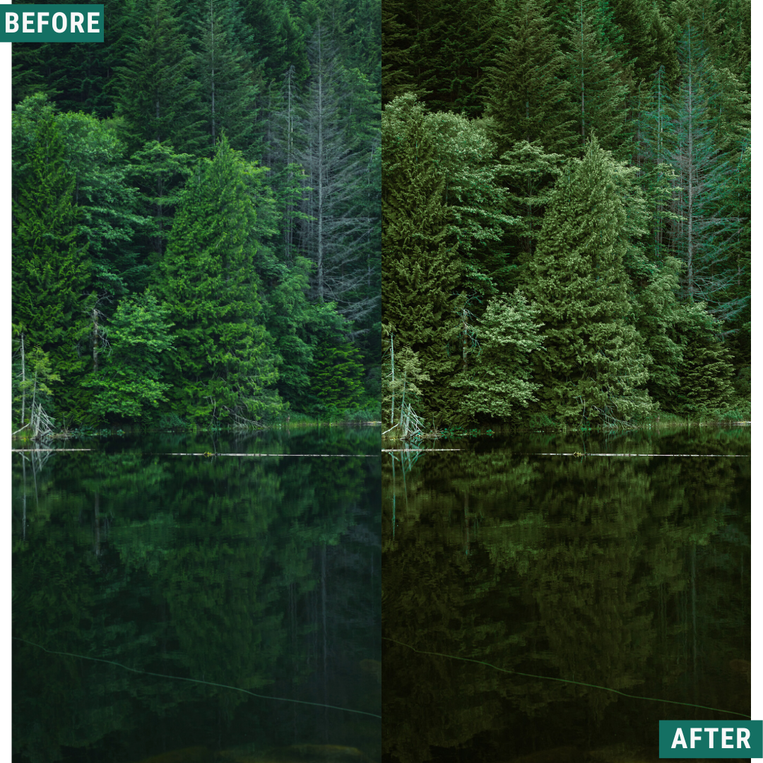 Dark Green LIMITIERTES Lightroom-Presets-Paket