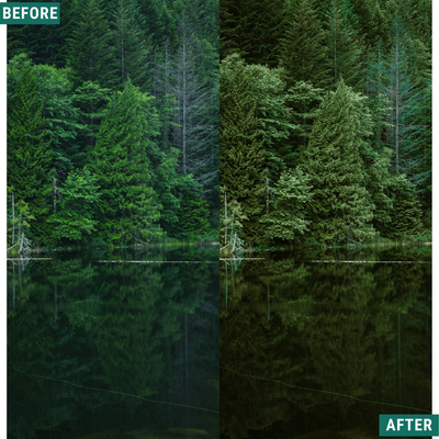 Dark Green LIMITED Capture One & LUT Presets Pack